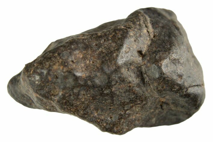 Carbonaceous Chondrite Meteorite ( g) - NWA #313692
